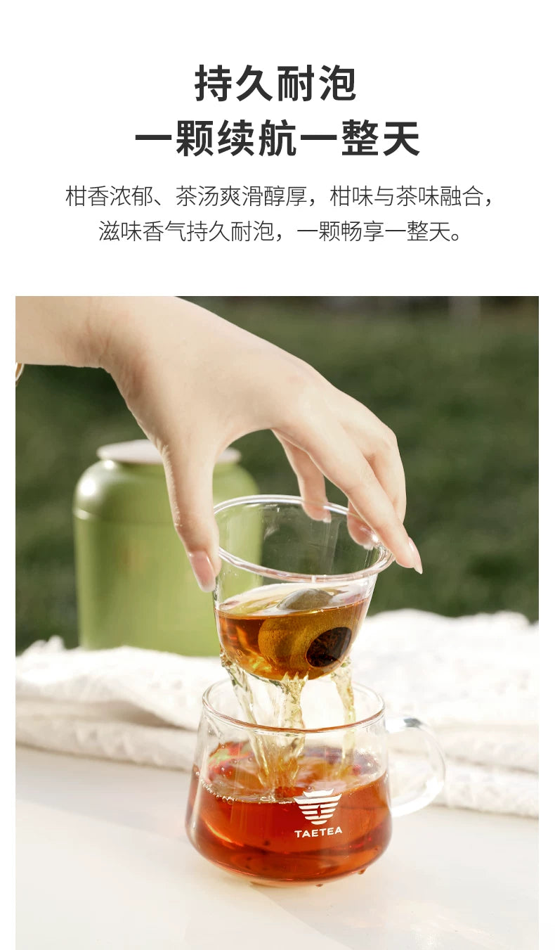 Little Green - Xinhui Qing Gan Ripe Puerh 110g | 10pcs Canned | Stove Boil Friendly
