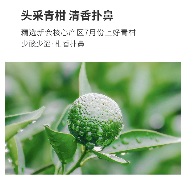 Little Green - Xinhui Qing Gan Ripe Puerh 110g | 10pcs Canned | Stove Boil Friendly